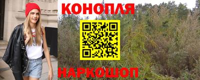 прущие крисы Вязники