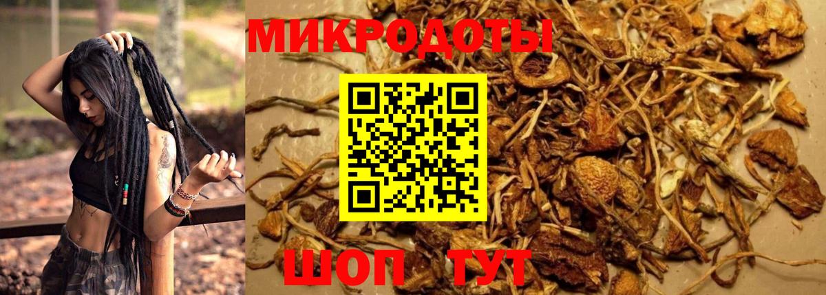 Псилоцибиновые грибы мухоморы Аша