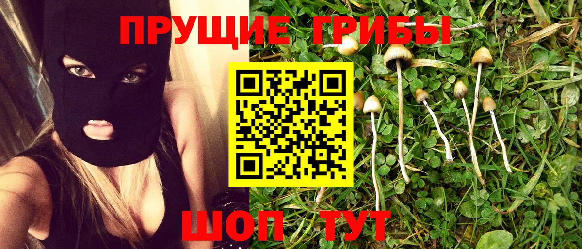 Галлюциногенные грибы Cubensis  Вход с VPN  Аша 